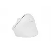 NATEC Crake 2 hiir, universaalne, paremakäeline, RF juhtmevaba + Bluetooth optiline 2400 DPI