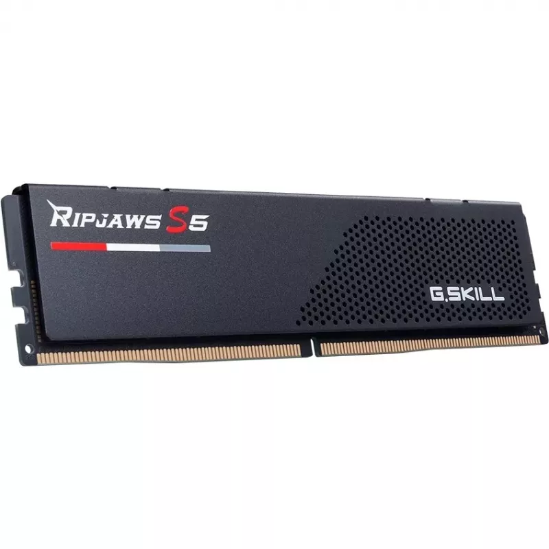 G.skill F5-6800J3446F24GX2-RS5K mälumoodul