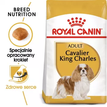 Kuiv koeratoit Royal Canin Cavalier King Charles Adult 1.5 kg — Kana, Väikest tõugu, Nahk ja karv, Südame tugi