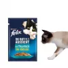 Purina Felix niiske kassitoit kõrge valgusisaldusega 100 g kotike — kala ja kana maitse, täiskasvanud kassidele, pakis 120 tk