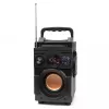 Squeak Bassblaster Bluetooth 5.1 kõlar, FM-raadio, MP3-mängija SQ1001