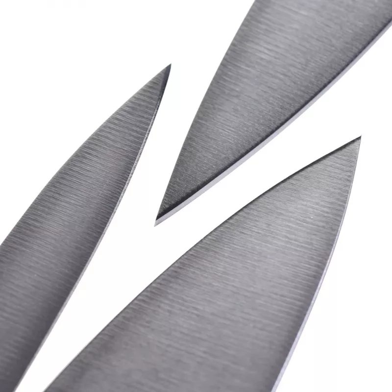 ZWILLING nugade komplekt Roostevaba teras Kodunuga