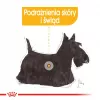 Märg koeratoit Royal Canin Dermacomfort Adult 85 g kotike — tundlikule nahale, linnulihamaitsega, 78% niiskust