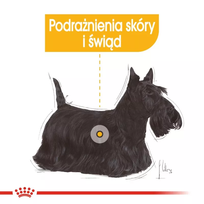 Märg koeratoit Royal Canin Dermacomfort Adult 85 g kotike — tundlikule nahale, linnulihamaitsega, 78% niiskust