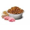 Farmina N&D Ancestral Grain Canine Adult Chicken koeratoit PND1500001, 15 kg