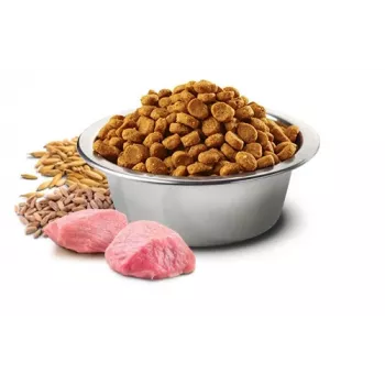 Farmina N&D Ancestral Grain Adult Chicken kuiv koeratoit 15 kg — 27% valku, 16% rasva
