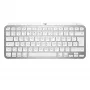Klaviatuur MX Keys Mini Mac Pale 920-010526 hall