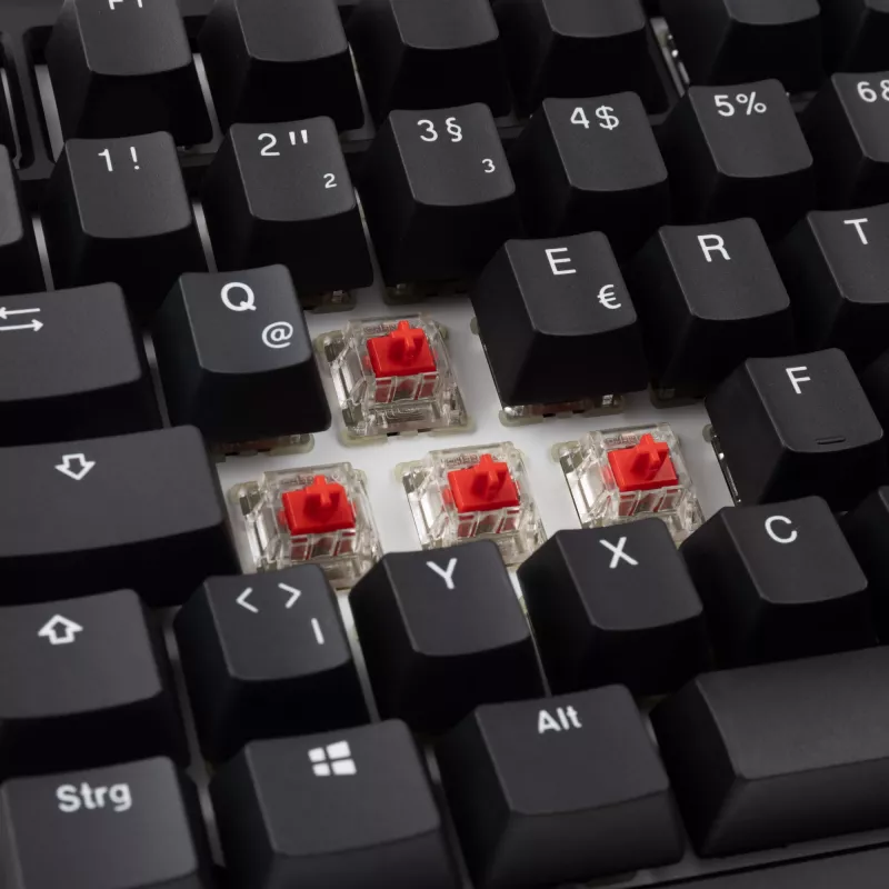 Ducky Tinker 75 klaviatuur Gaming USB Saksa Must
