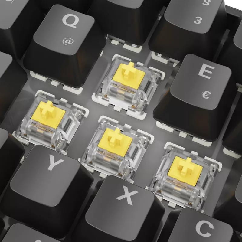 Sharkoon 100065629 klaviatuur Home USB QWERTZ German Must