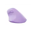 NATEC Crake 2 hiir Universaalne Paremakäeline RF-juhtmevaba + Bluetooth Optiline 2400 DPI