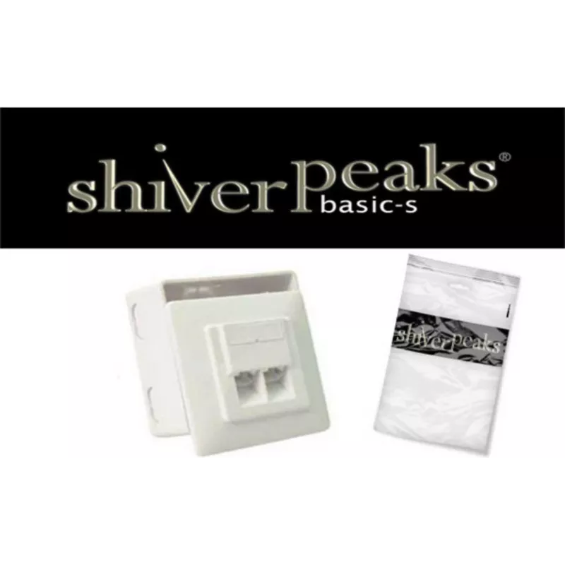 Võrgupesa ShiverPeaks BASIC-S Cat. 5e 2-Port Flush Mount