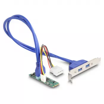 DeLOCK liidesekaardid/adapterid 61065 Sisemine USB 3.2 Gen 1 M.2 Isane