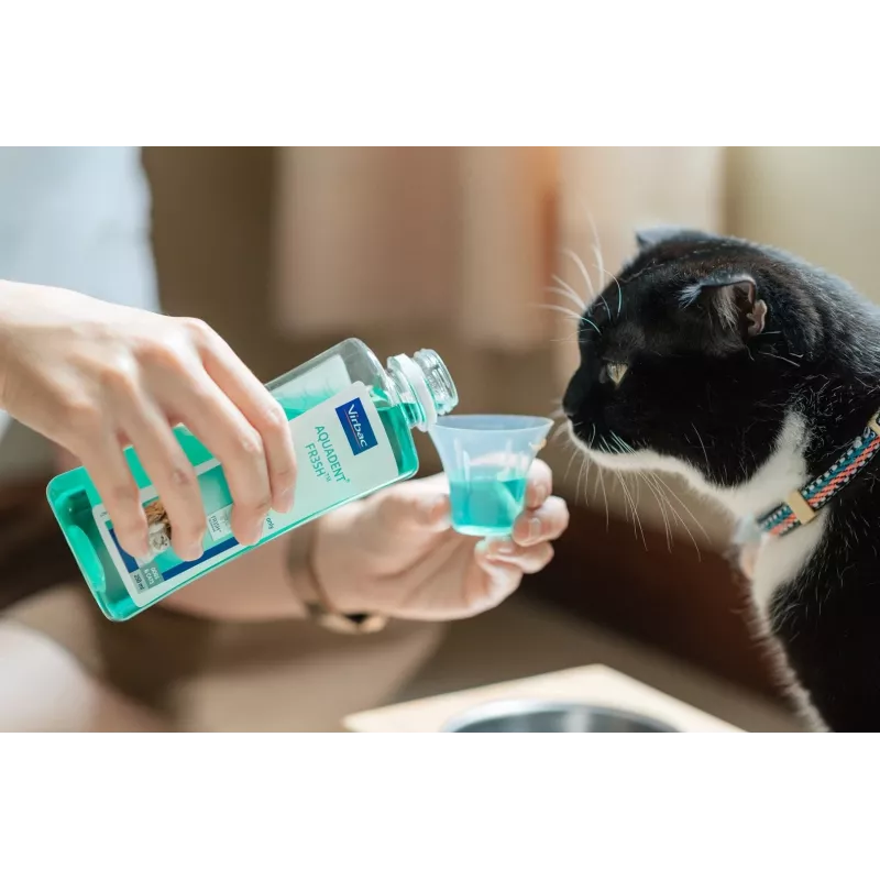 Suuhügieenilahus VIRBAC Aquadent suuhooldusvedelik 500 ml lemmikloomadele