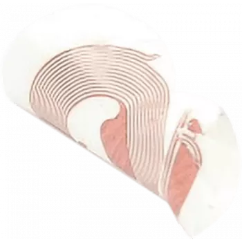 NFC-kleebis SCOT NTAG213 18 mm valge, RFID-silt, pakis 10 tk
