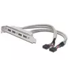 Pilupesa kaabel USB 2.0 HighSpeed tüüp 2xIDC (5pin)/4xUSB A M/F hall 0,25 m