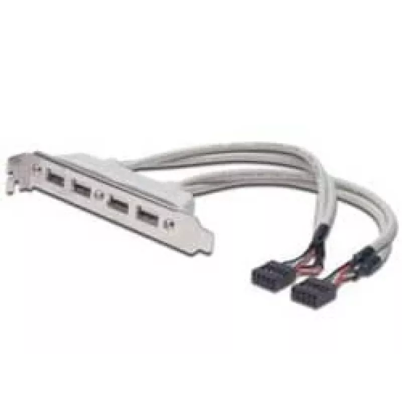 Pilupesa kaabel USB 2.0 HighSpeed tüüp 2xIDC (5pin)/4xUSB A M/F hall 0,25 m