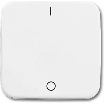 Busch Jaeger 2502-214 White (1731-0-0884)