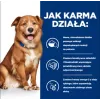 HILL'S Prescription Diet Derm Complete - kuiv koeratoit - 1,5kg