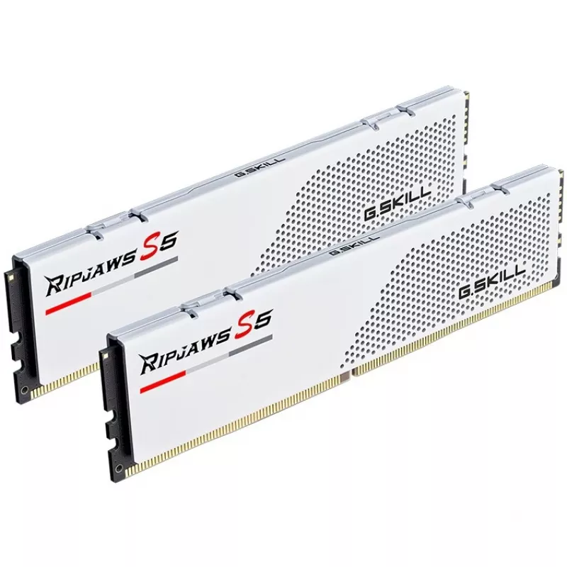 G.Skill F5-6000J3036F24GX2-RS5W mälumoodul 48 GB 2 x 24 GB DDR5 5600 MT/s