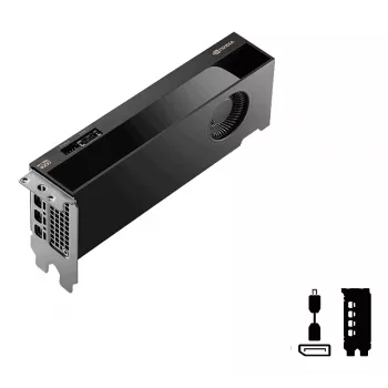 PNY RTX PRO 4000 Mustwell NVIDIA 24 GB GDDR7