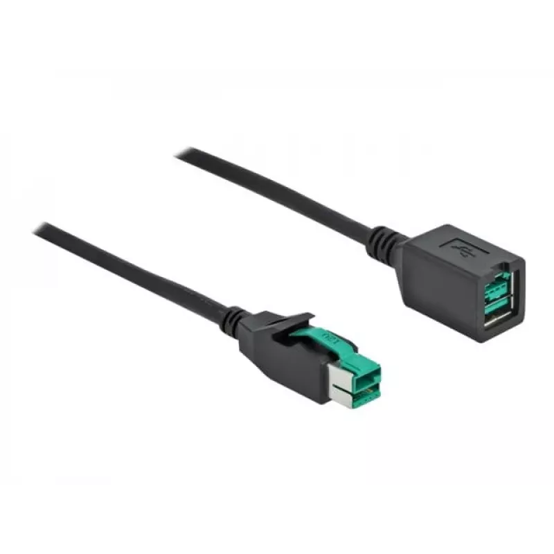 Toitega USB pikenduskaabel DeLOCK 85980 12 V 1 m