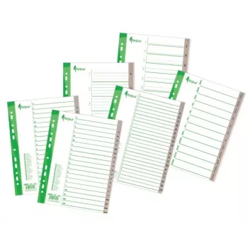 Eralduslehed Forpus, A4, detsember-jaanuar, plastikust