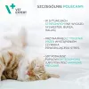 Rahustav toidulisand VETEXPERT Calm&Relax 30 kapslit koertele ja kassidele, gluteenivaba, säilitusainetevaba, kapslikujul