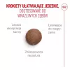 ROYAL CANIN Ageing 15+ - kuiv kassitoit - 4kg