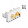 DeLOCK Easy 45 pistikupesa 2 x RCA Valge ABS