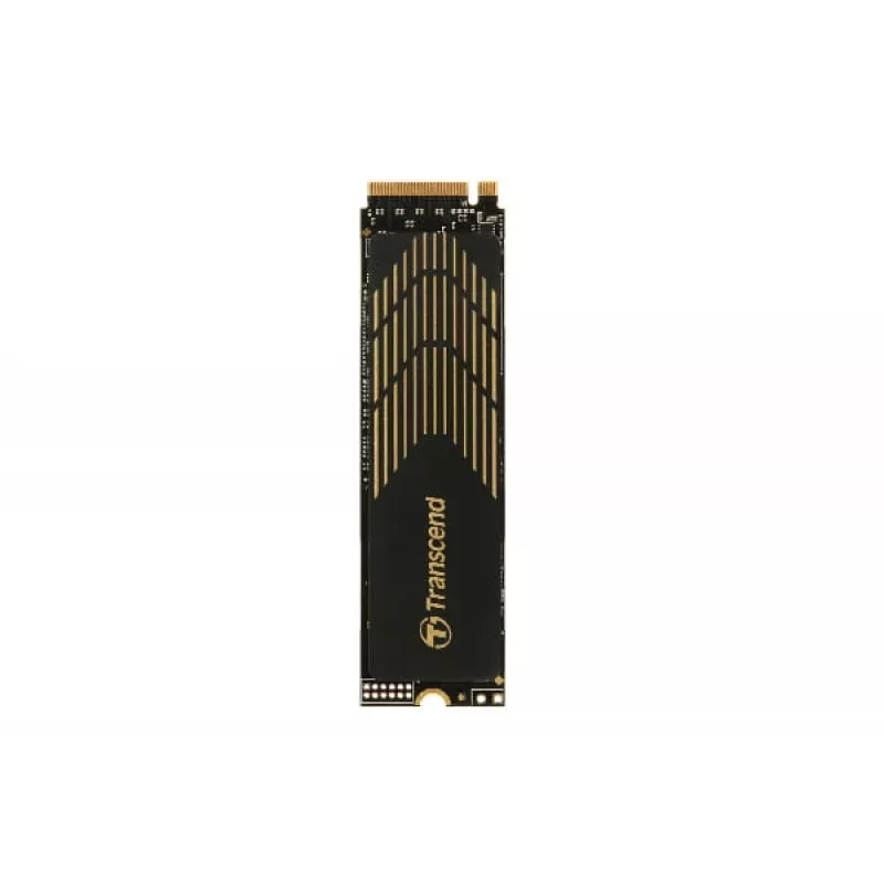 SSD-ketas Transcend 500 GB M.2 PCI Express 4.0 NVMe 3D NAND TS500GMTE240S