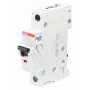 ABB S201-B16 W/O ACC. - Miniatuurkaitselüliti - B-tüüp - 6000 A - IP20 - IP40