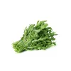 Seemnelint — Apte rukola (Eruca sativa) 6 m koju ja aeda kasvatamiseks