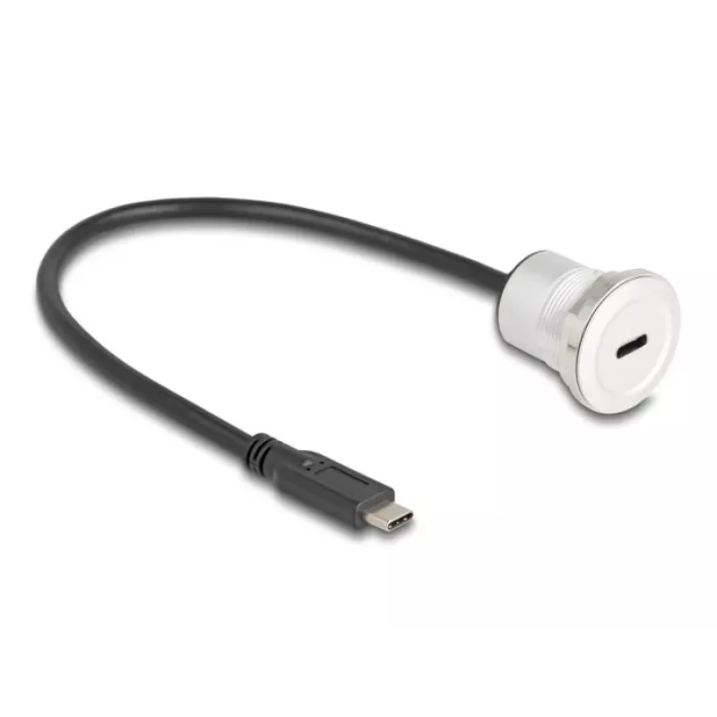 USB-kaabel DeLOCK 88183 0,3 m USB-C must hõbedane