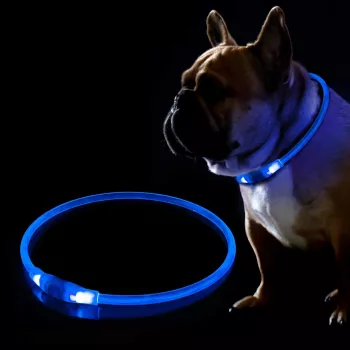LED-krae KABB sinine koertele ja kassidele — laetav, reguleeritav valgusega turvakrae