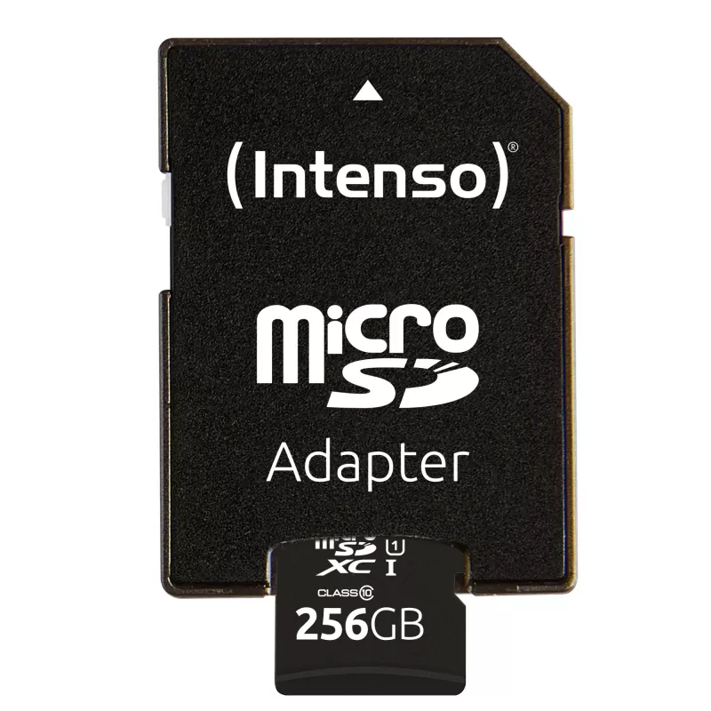 Välkmälu Intenso 256GB UHS-I microSD Performance Class 10