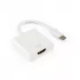 SBOX adapter HDMI emane USB USB-C isasele (HDMI F → USB-C M)