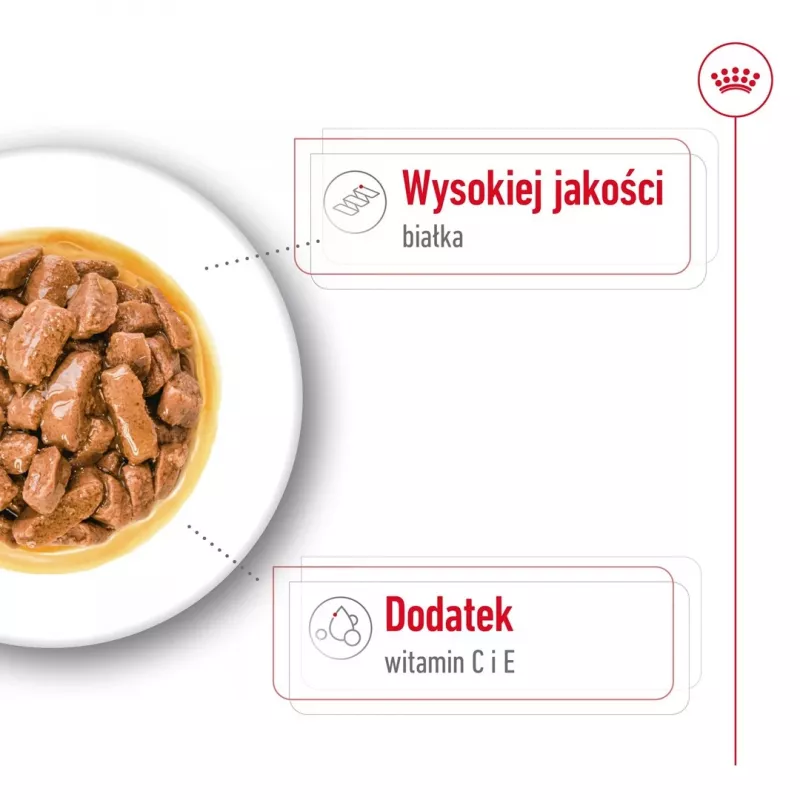 ROYAL CANIN SHN Medium Adult kastmes - märgtoit täiskasvanud koertele - 10x140g