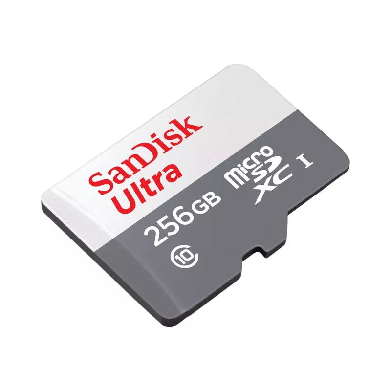 Välkmälu SanDisk 256 GB MicroSDXC UHS-I SDSQUNR-256G-GN6TA