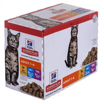 HILL'S Feline Adult Multipack Classic - kotike 12x85g