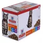 HILL'S Feline Adult Multipack Classic - kotike 12x85g