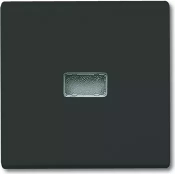 BUSCH JAEGER 2107-35 - Schwarz - Busch-Jaeger - 70 mm - 70 mm - 1,3 cm - 1 Stück(e)