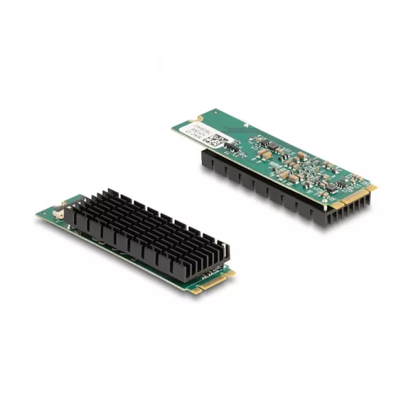 DeLOCK 95274 sisemine M.2 PCIe võrgukaart 1x 10 Gigabit Ethernet