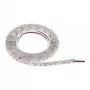 Synergy 21 LED Flex Ribalint 3528 - 120 DW (CCT) DC24V 48W pro Värv üks kiip IP20
