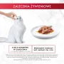 GOURMET Mon Petit Fish Mix - märg kassitoit - 6 x 50 g