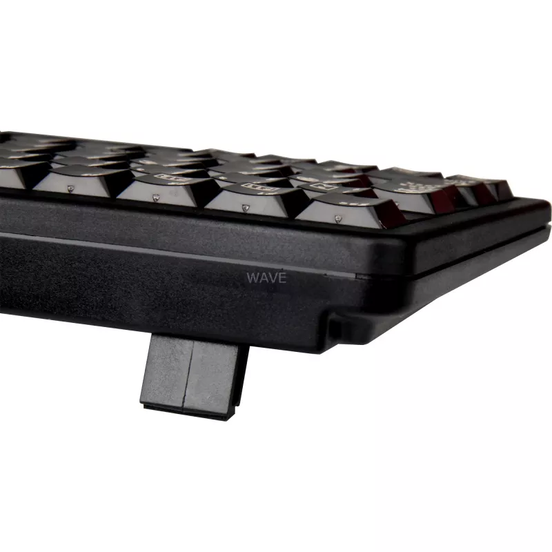 CHERRY G84-4100 klaviatuur Universal USB QWERTZ German Must