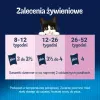 Purina Nestlé Felix Fantastic Junior märg kassitoit, 85 g kotike — kana, 77,5% niiskus, 13,5% valk
