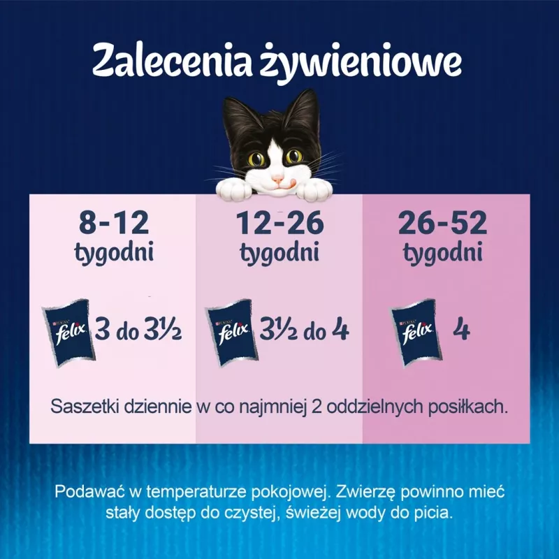Purina Nestlé Felix Fantastic Junior märg kassitoit, 85 g kotike — kana, 77,5% niiskus, 13,5% valk