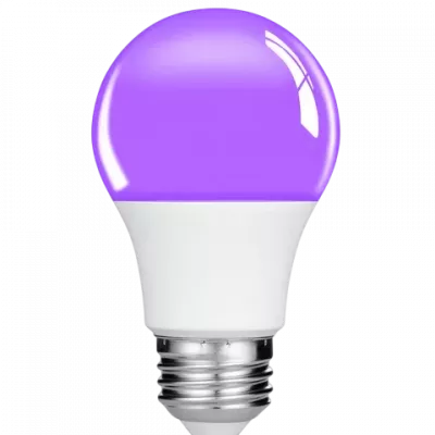 UV-pirnid