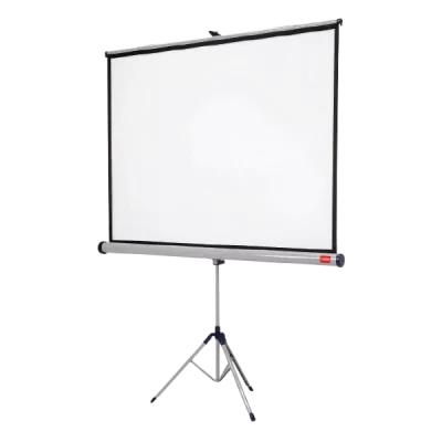 Projektsiooniekraanid