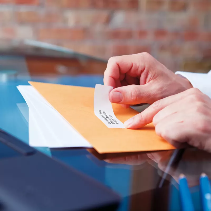 DYMO Authentic LabelWriter väikesed universaalsed sildid | 19 mm x 51 mm | isekleepuvad | 500 tk rull | kergesti eemaldatavad sildid | LabelWriteri sildivalmistajatele | valmistatud Euroopas